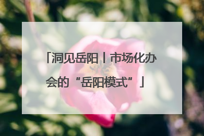 洞见岳阳丨市场化办会的“岳阳模式”